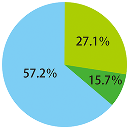 AURO Nr.339 成分構成比率