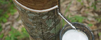 自然塗料 AURO(アウロ) No.391の特長