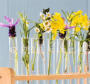 成分の完全公開